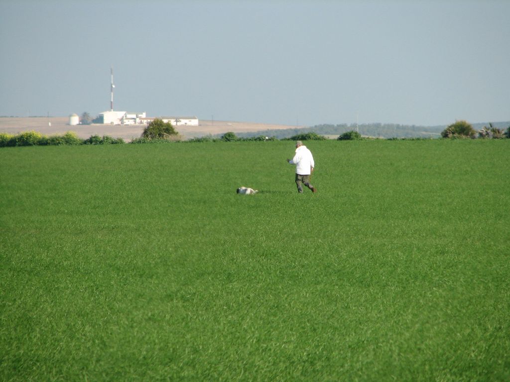 Pin-up Du Clos De La Goutille